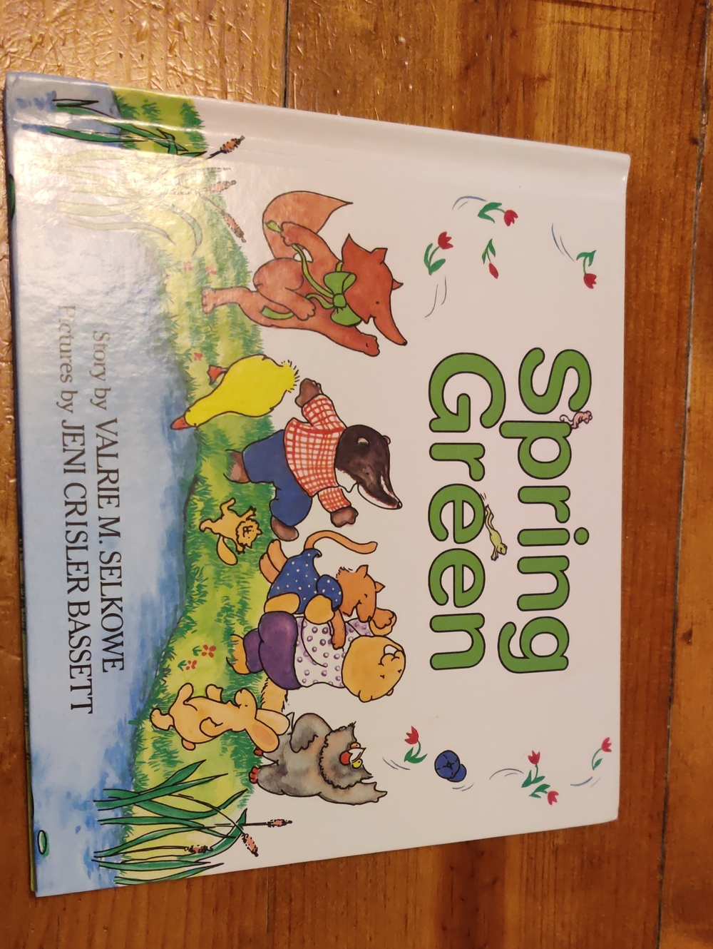 Children's Book "Spring Green" - Colorful Illustrations By Valerie M. Selkowe